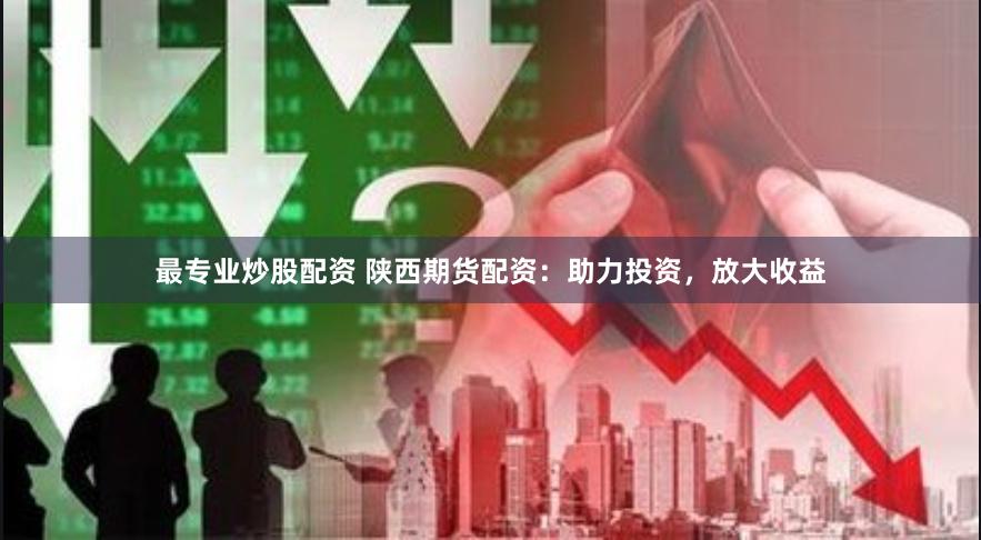 最专业炒股配资 陕西期货配资：助力投资，放大收益